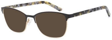 SFE-11741 sunglasses in Black