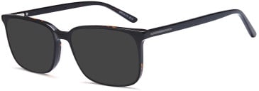 SFE-11744 sunglasses in Black