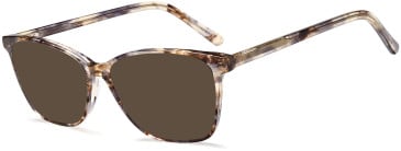 SFE-11751 sunglasses in Brown