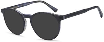 SFE-11753 sunglasses in Grey