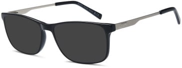 SFE-11775 sunglasses in Black