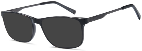 SFE-11775 sunglasses in Grey