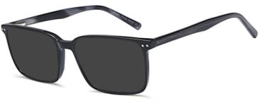 SFE-11786 sunglasses in Black