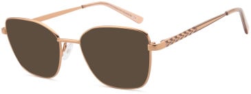 SFE-11800 sunglasses in Brown