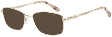 SFE-11813 sunglasses in Gold