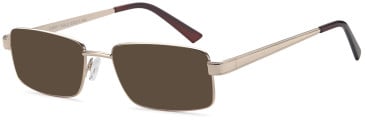 SFE-11857 sunglasses in Gold