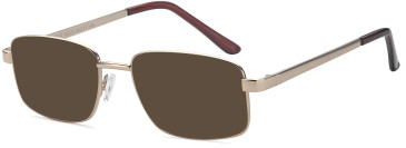 SFE-11858 sunglasses in Gold