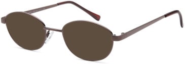SFE-11866 sunglasses in Bronze