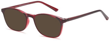 SFE-11883 sunglasses in Burgundy