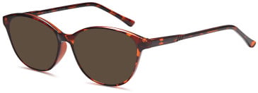 SFE-11888 sunglasses in Havana