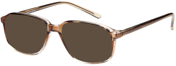 SFE-11894 sunglasses in Grey