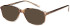 SFE-11894 sunglasses in Grey