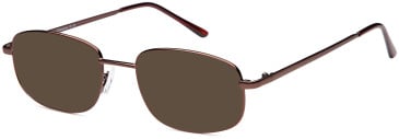 SFE-11896 sunglasses in Bronze