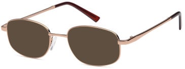 SFE-11909 sunglasses in Brown