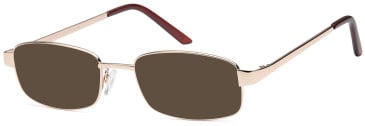 SFE-11910 sunglasses in Gold