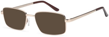 SFE-11911 sunglasses in Gold