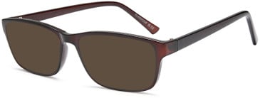 SFE-11914 sunglasses in Brown