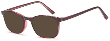 SFE-11919 sunglasses in Burgundy
