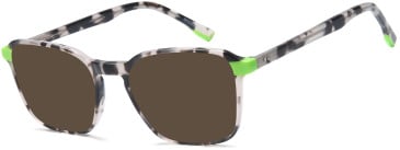 SFE-11683 sunglasses in Grey