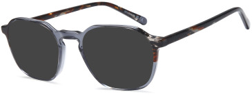 SFE-11693 sunglasses in Grey