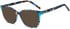 SFE-11699 sunglasses in Blue