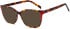 SFE-11699 sunglasses in Red