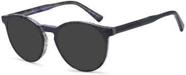 SFE-11753 sunglasses in Grey