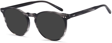SFE-11767 sunglasses in Grey