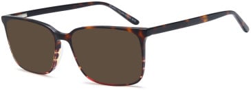 SFE-11777 sunglasses in Brown