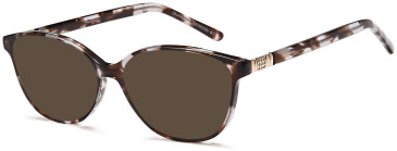 SFE-11785 sunglasses in Grey
