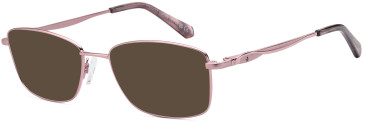 SFE-11813 sunglasses in Pink