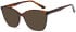 SFE-11827 sunglasses in Havana