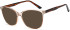 SFE-11827 sunglasses in Champagne