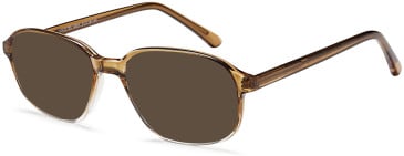SFE-11835 sunglasses in Grey