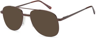 SFE-11843 sunglasses in Bronze