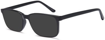 SFE-11847 sunglasses in Black