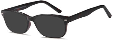 SFE-11854 sunglasses in Havana