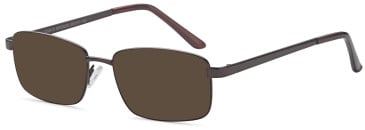 SFE-11861 sunglasses in Bronze