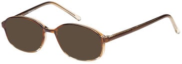 SFE-11895 sunglasses in Grey
