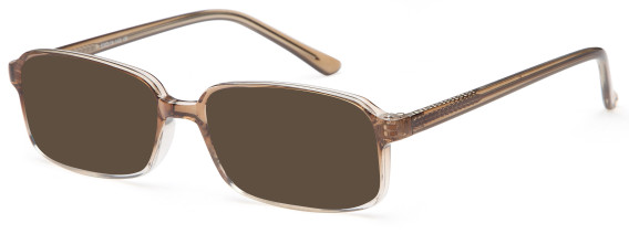 SFE-11903 sunglasses in Grey
