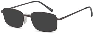 SFE-11912 sunglasses in Bronze