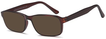 SFE-11915 sunglasses in Brown