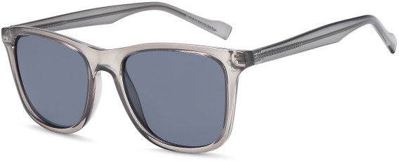 SFE-11933 sunglasses in Grey