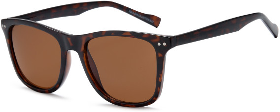 SFE-11933 sunglasses in Havana
