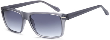 SFE-11931 sunglasses in Grey