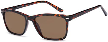 SFE-11938 sunglasses in Havana