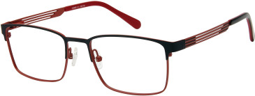 Halstrom 3089 glasses in Black/Maroon