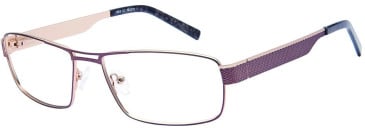 Halstrom H53 glasses in Brown/Gold
