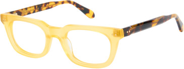 London Club 1161 DUFF glasses in Yellow