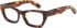 Romeo & Juliet 2759 Lauren glasses in Tort